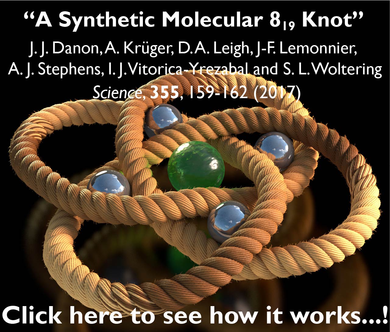 A Synthetic Molecular 819 Knot